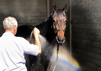 2019 04 25 Dasty IMG 4833