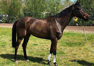 2019 04 25 Dasty IMG 4839