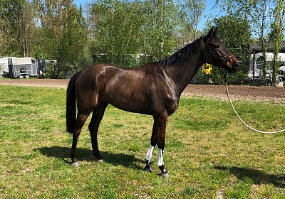 2019 04 25 Dasty IMG 4840