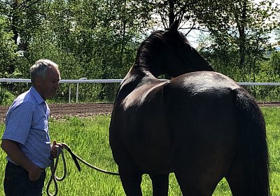 2019 04 25 Dasty IMG 4842