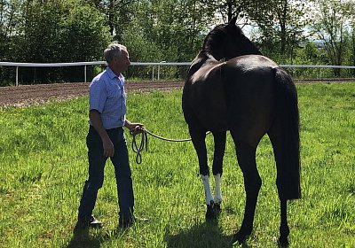 2019 04 25 Dasty IMG 4844