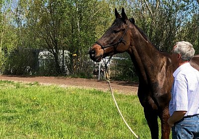 2019 04 25 Dasty IMG 4846