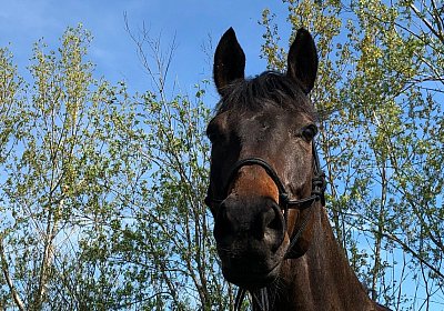 2019 04 25 Dasty IMG 4850