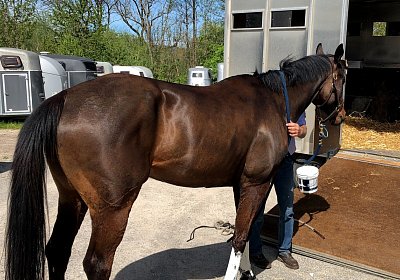 2019 04 25 Dasty IMG 4851