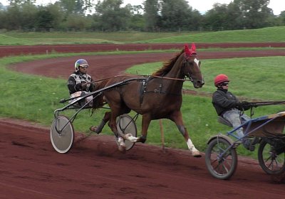 Ulysse 2019 09 06 S3800011