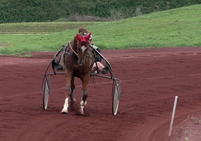 Ulysse 2019 09 06 S3800015