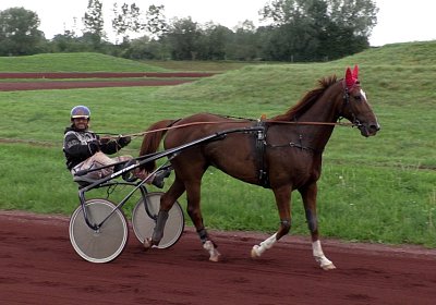 Ulysse 2019 09 06 S3800018