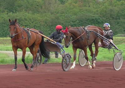 Ulysse Rebus 2019 09 06 S3800003