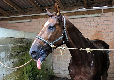 Ulysse z 2019 09 06 IMG 0020