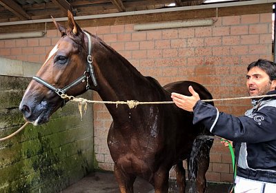 Ulysse z 2019 09 06 IMG 0022