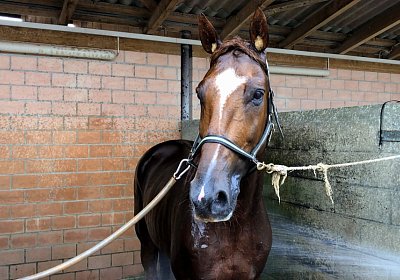 Ulysse z 2019 09 06 IMG 0024