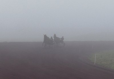 Avenches 19Dez19 A S4000006 Elk Fiddle