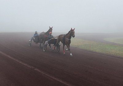 Avenches 19Dez19 B IMG 3801 Elk Fiddle