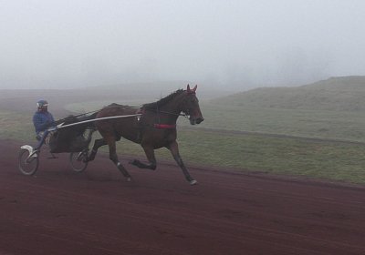 Avenches 19Dez19 B S4000007 Fiddle