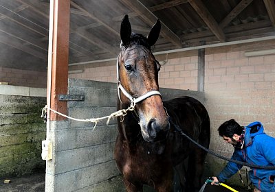 Avenches 19Dez19 C IMG 3830 Fiddle