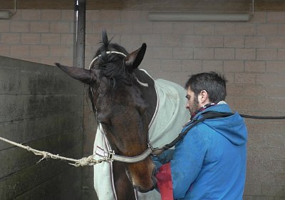 Avenches 19Dez19 C S4000012 Fiddle