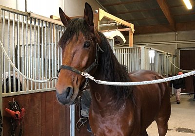 Avenches 19Dez19 D IMG 3837 Fernando