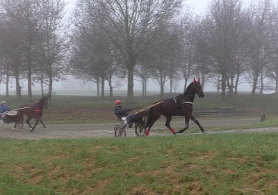 Avenches 19Dez19 E S4000021 Sonny Fernando