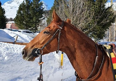 StMoritz 08 02 2020 Zock Adrien 2