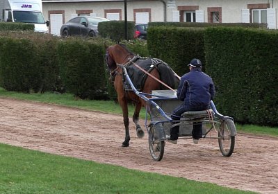 Ange de Lune B S4070016