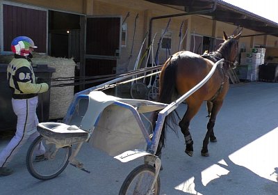 Avenches Training 01 04 2020 B S4150014 Fiddle