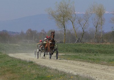 Avenches Training 01 04 2020 B S4150038 Fiddle