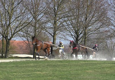 Avenches Training 01 04 2020 C S4150053 Fiddle Globi