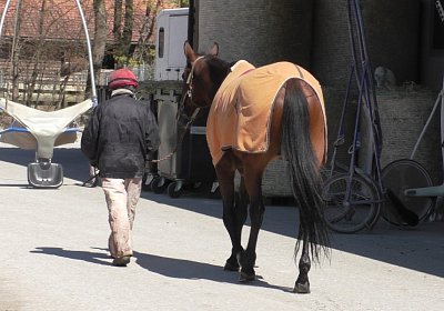 Avenches Training 01 04 2020 C S4150108 Fiddle