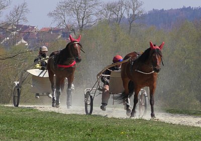 Avenches Training 01 04 2020 L S4150146 Rebus Vessillo