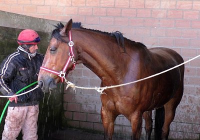 Avenches Training 01 04 2020 M S4150153 Rebus