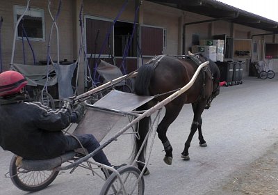 Avenches Training 09 04 2020 A S4170026 Hope