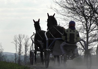 Avenches Training 09 04 2020 A S4170044 Hope Ulysse