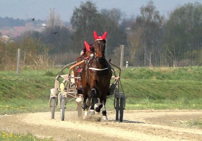 Avenches Training 09 04 2020 B S4170060 Hope Ulysse