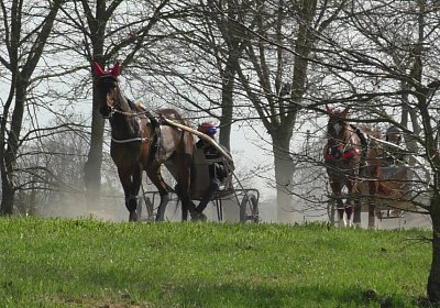 Avenches Training 09 04 2020 B S4170077 Hope Ulysse