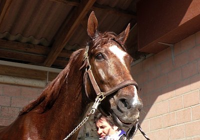 Avenches Training 09 04 2020 B S4170107 Ulysse