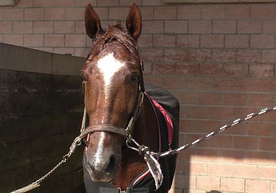 Avenches Training 09 04 2020 B S4170112 Ulysse