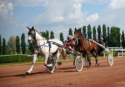 Av Training 25 04 2020 P DSC07664 Vento Fiddle