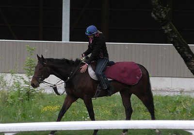 Suprimo 05 05 2020 B mmo S4190007
