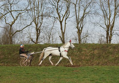 Av 8feb21DSC07594 Vento