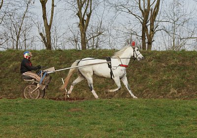 Av 8feb21DSC07596 Vento