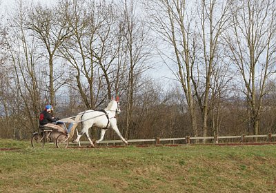 Av 8feb21DSC07608 Vento