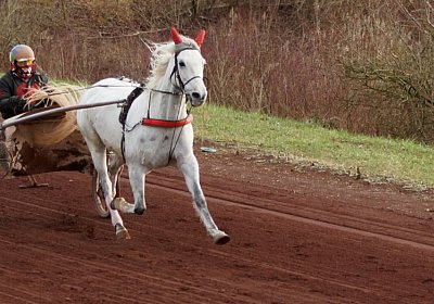 Av 8feb21DSC07622 Vento