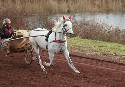 Av 8feb21DSC07628 Vento