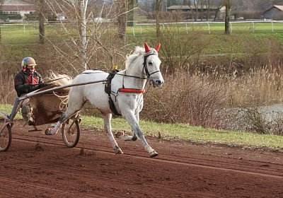 Av 8feb21DSC07668 Vento