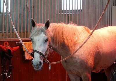 Av 8feb21DSC07740 Vento