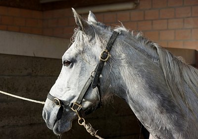 Av 8feb21DSC07747 Vento