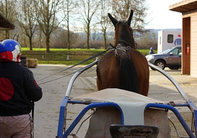 Av 8feb21DSC07759 Fiddle