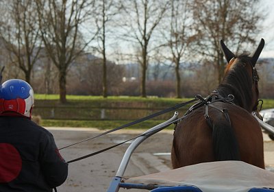 Av 8feb21DSC07760 Fiddle