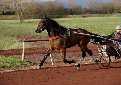 Av 8feb21DSC07776 Fiddle