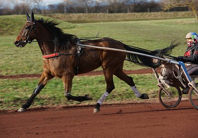 Av 8feb21DSC07779 Fiddle